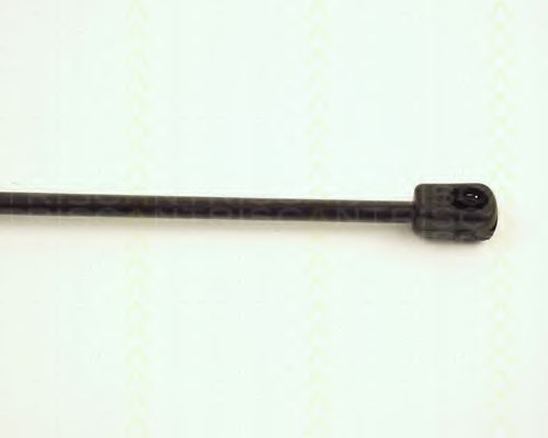 Amortizor portbagaj 3