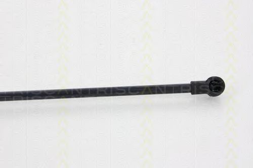 Amortizor portbagaj 3