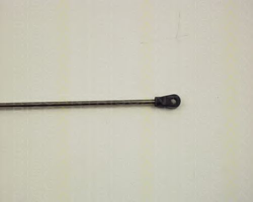 Amortizor capota 3