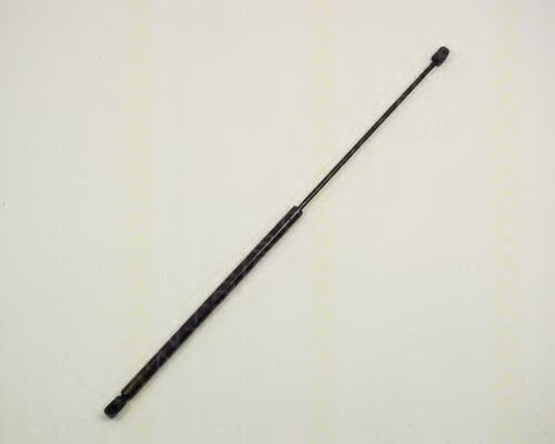 Amortizor capota