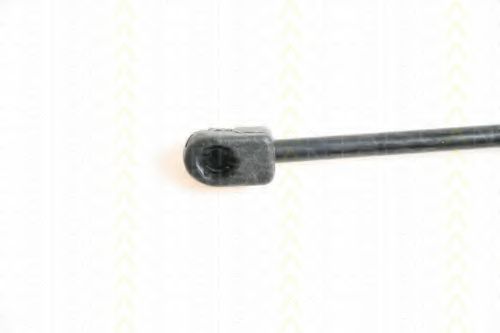 Amortizor capota 3