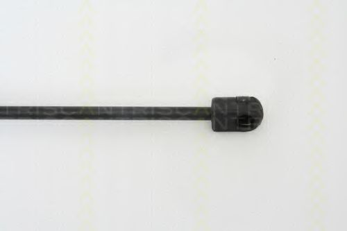 Amortizor capota 3