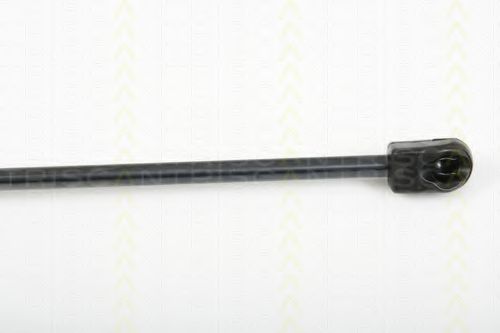 Amortizor capota 3