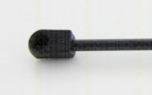 Amortizor portbagaj 2