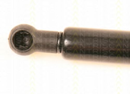 Amortizor portbagaj 2