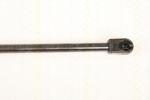 Amortizor portbagaj 3