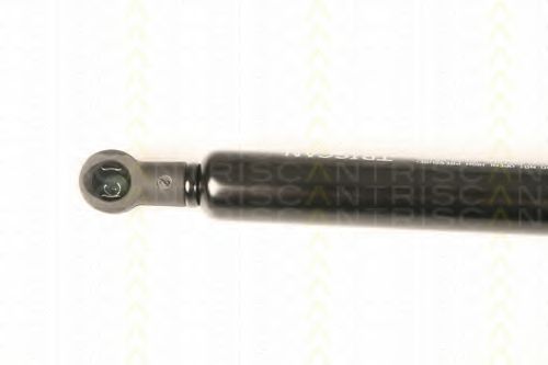 Amortizor portbagaj 2