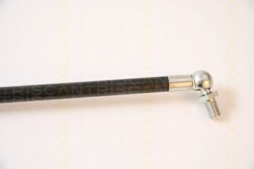 Amortizor portbagaj 3