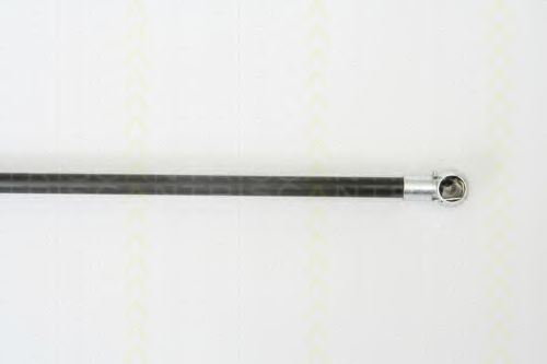 Amortizor portbagaj 3