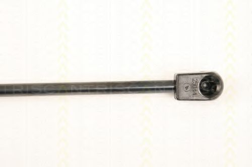 Amortizor portbagaj 3