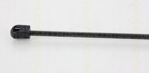 Amortizor portbagaj 3