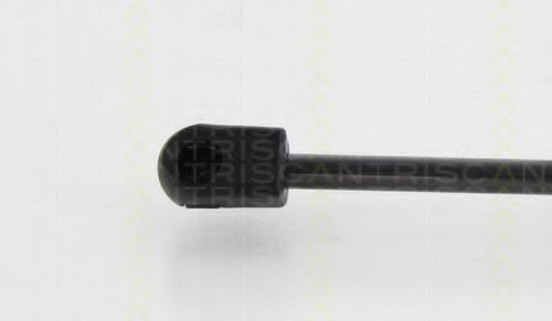 Amortizor capota 3