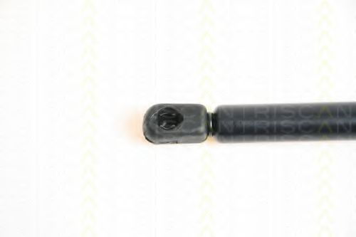 Amortizor capota 2