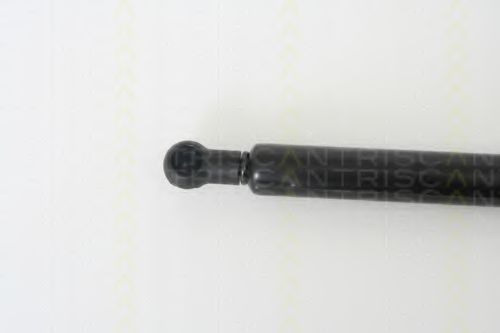 Amortizor capota 2