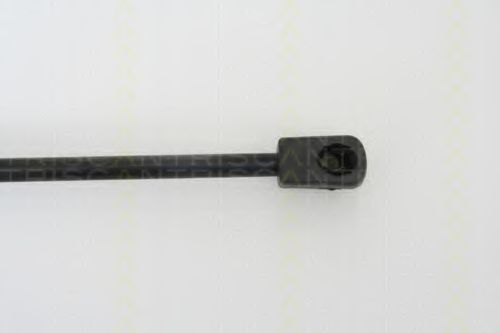 Amortizor capota 3