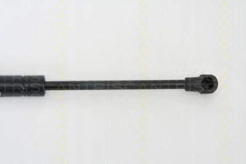 Amortizor portbagaj 3