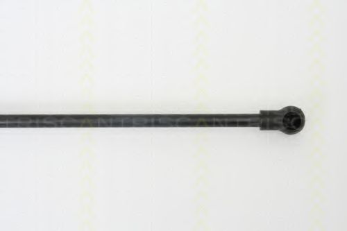 Amortizor portbagaj 3