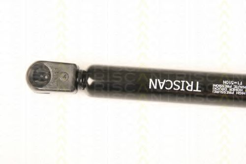 Amortizor portbagaj 2
