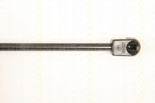 Amortizor portbagaj 3