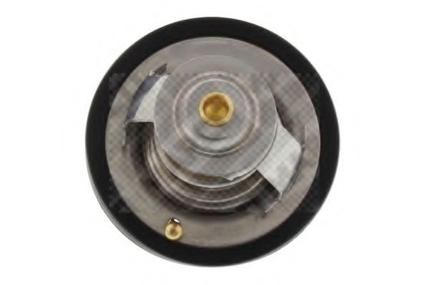 termostat,lichid racire 3