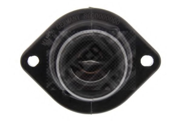 termostat,lichid racire 3