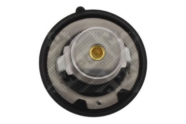 termostat,lichid racire 3