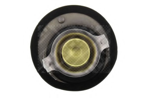termostat,lichid racire 3