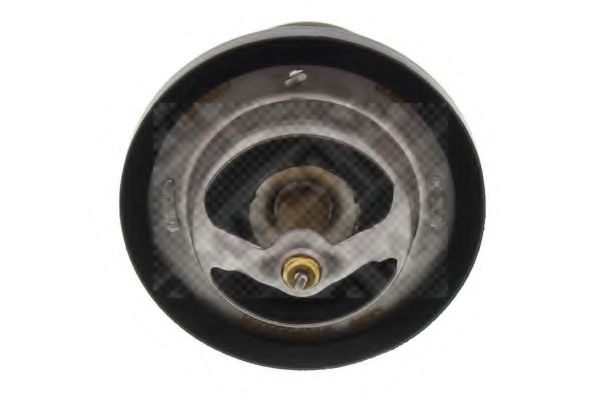 termostat,lichid racire 2