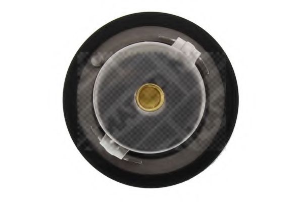 termostat,lichid racire 3