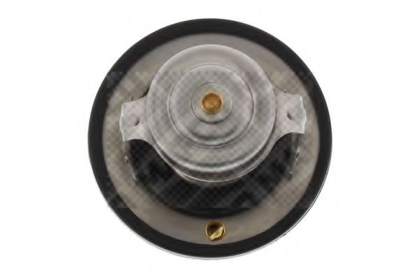 termostat,lichid racire 3