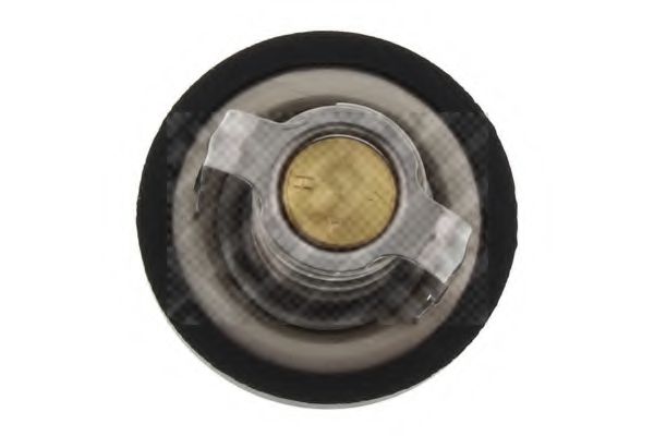 termostat,lichid racire 3