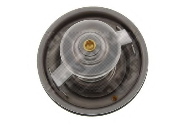 termostat,lichid racire 3