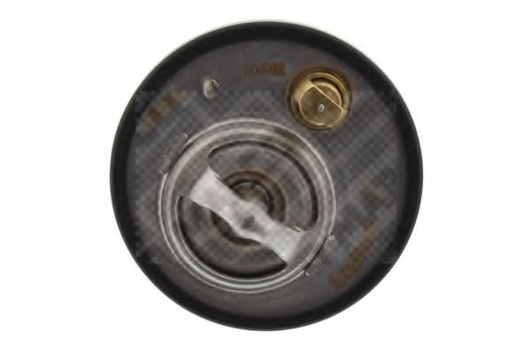 termostat,lichid racire 2