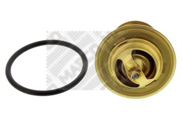 termostat,lichid racire 2