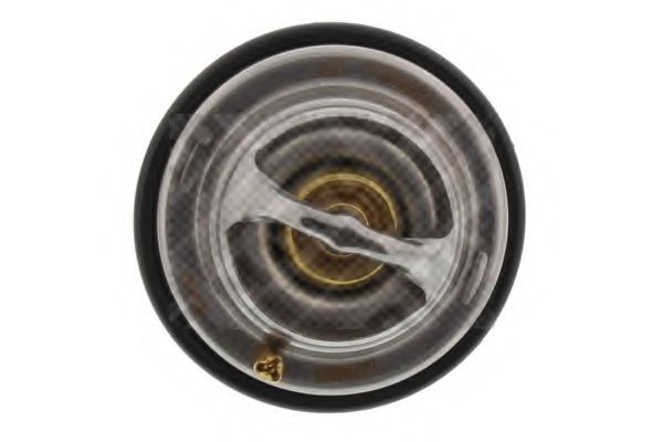 termostat,lichid racire 2