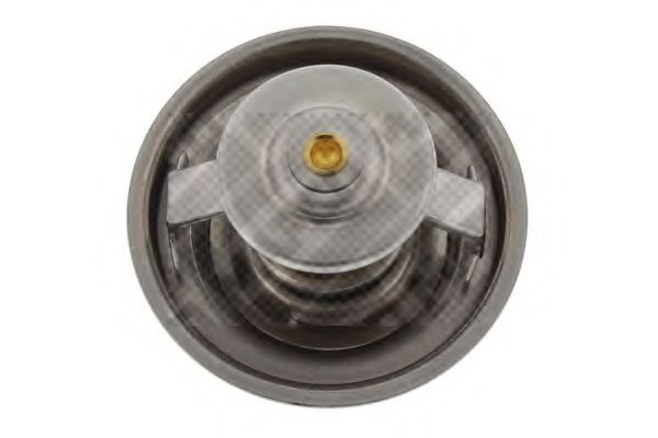 termostat,lichid racire 3