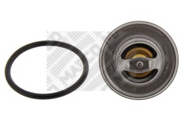 termostat,lichid racire 2