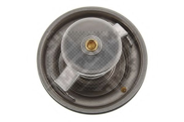 termostat,lichid racire 3