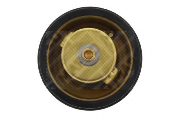 termostat,lichid racire 3