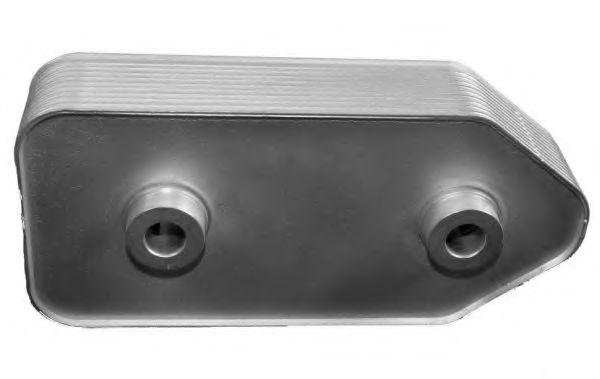 Radiator ulei, ulei motor 2