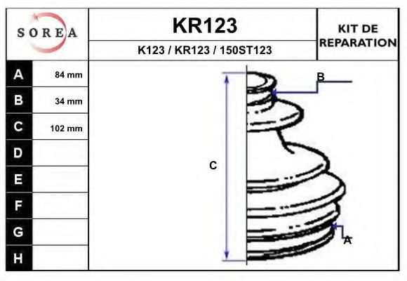 KR123 Ansamblu burduf, articulatie planetara EAI 