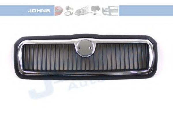 Grila radiator