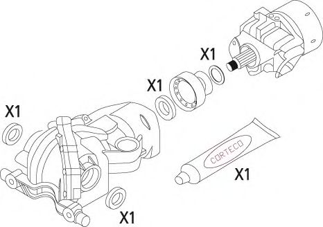 19535955 Set garnituri, diferential CORTECO 