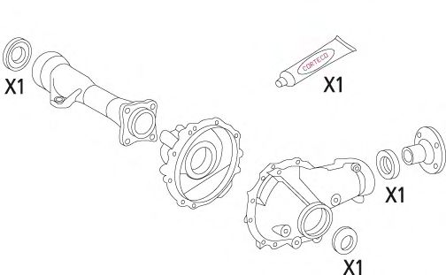 19536187 Set garnituri, diferential CORTECO 