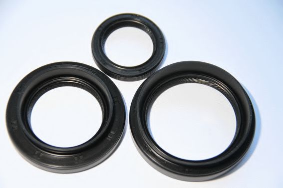 19537205 Set garnituri, diferential CORTECO 