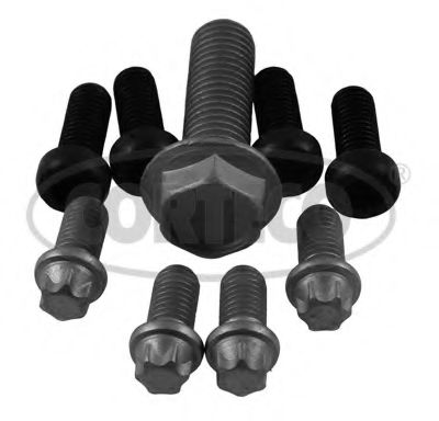 80004897 Set surub, disc curea-arbore cotit CORTECO 