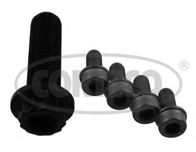 80004920 Set surub, disc curea-arbore cotit CORTECO 