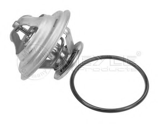 termostat,lichid racire