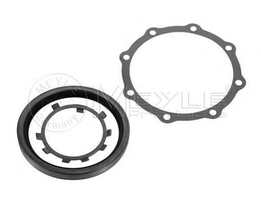 Set garnituri, butuc roata