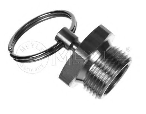 034 043 0041 supapa,sistem supraalimentare MEYLE 